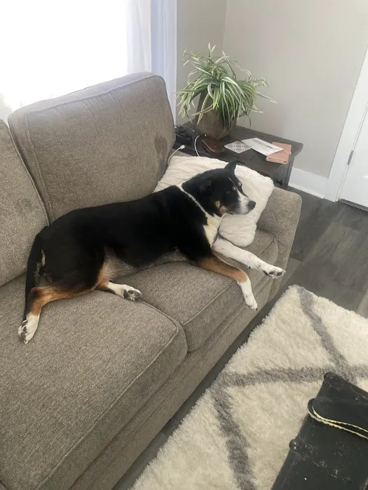 Summit Veterinary Services Picture 1