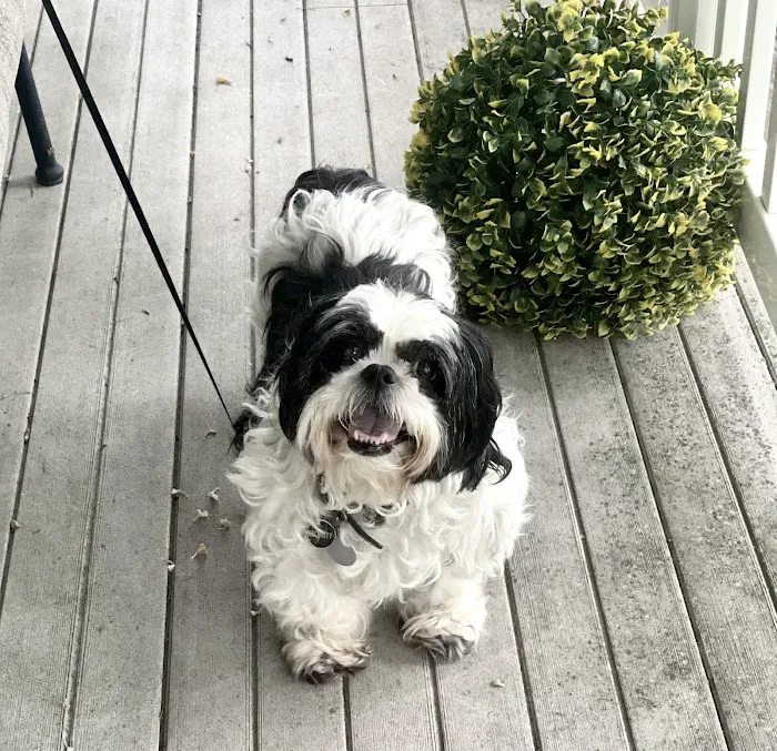 Summit Veterinary Services Picture 8