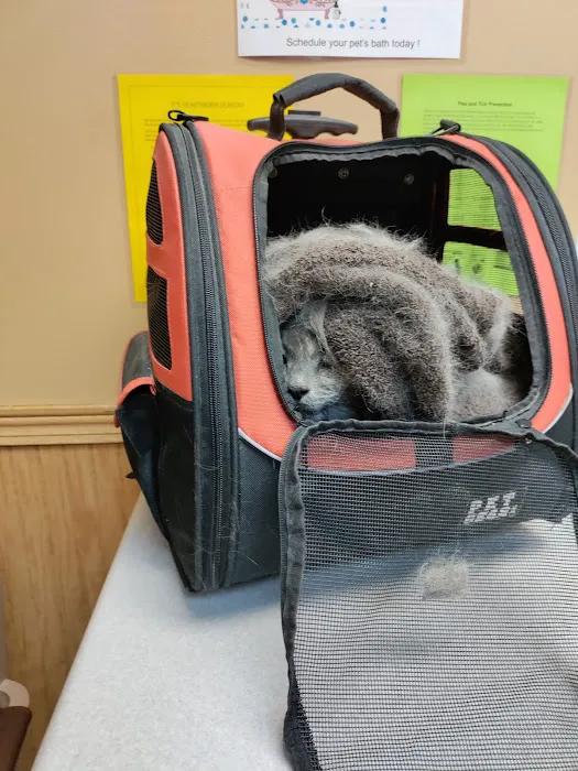 Summit Veterinary Services Picture 9