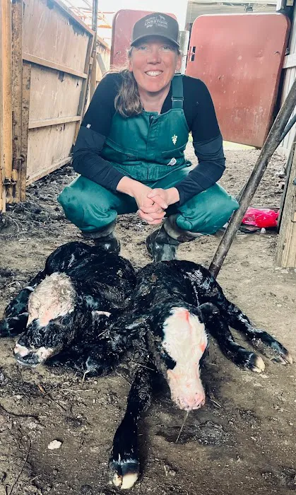 Practical Livestock Services PLLC Picture 1