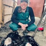 Practical Livestock Services PLLC