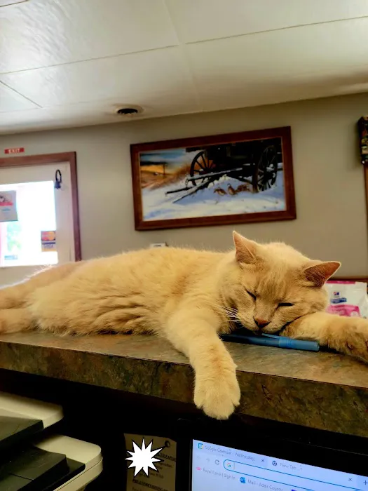 Adair County Veterinary Clinic Picture 3