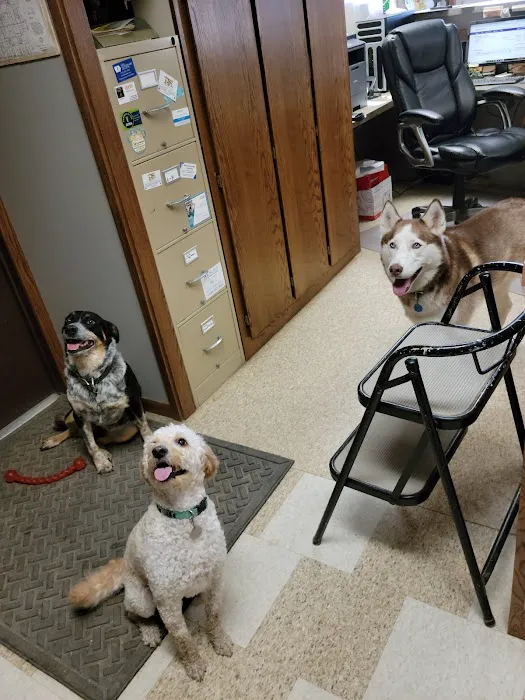 Adair County Veterinary Clinic Picture 8