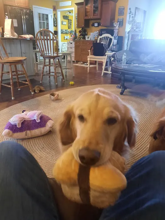 Greenfield Veterinary Clinic Picture 1