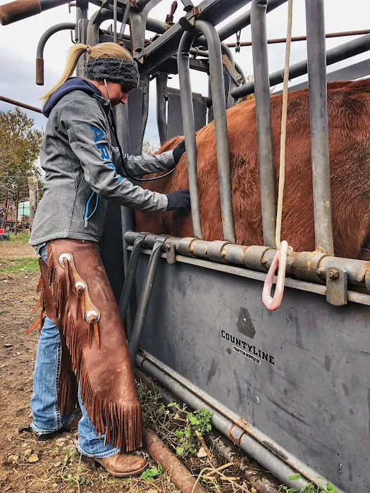 King Equine Veterinary Services Picture 4