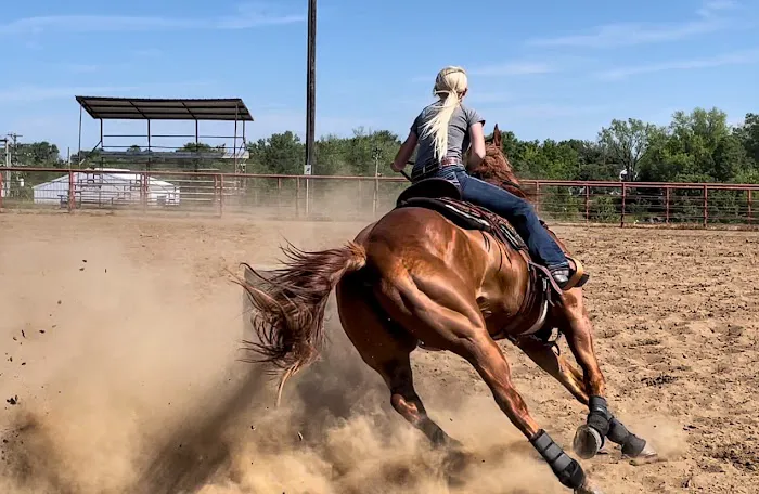 King Equine Veterinary Services Picture 2