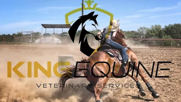 King Equine Veterinary Services Picture 10