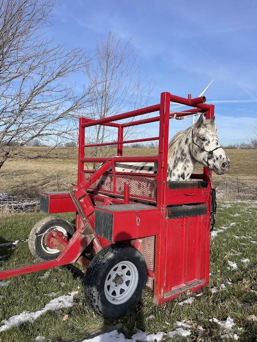 King Equine Veterinary Services Picture 9