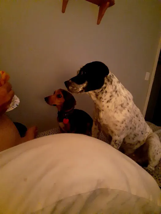 Scotland County Vet Clinic Picture 1