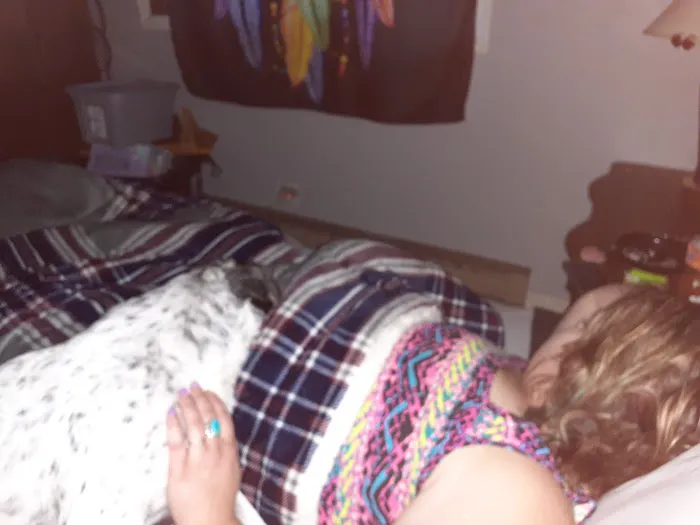 Scotland County Vet Clinic Picture 2