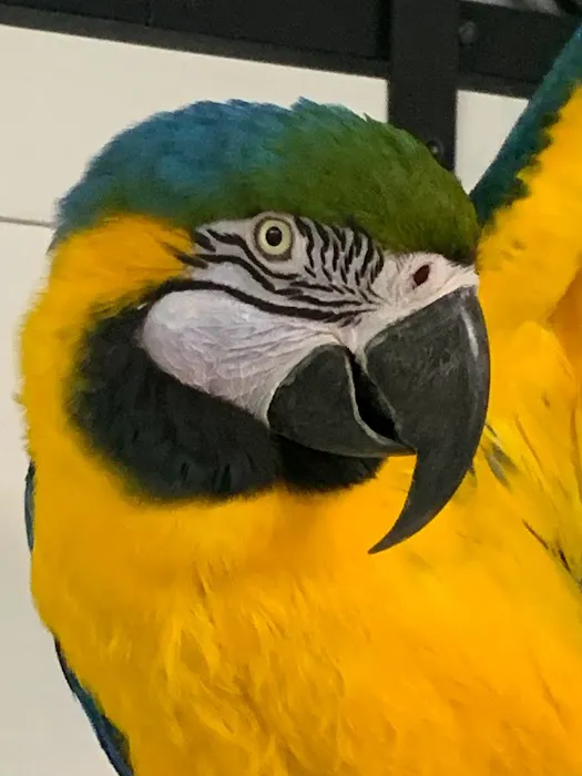 Rudolphi Veterinary Services Picture 2