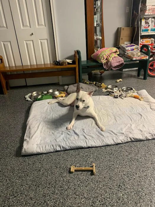 Rudolphi Veterinary Services Picture 3