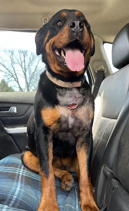 Rudolphi Veterinary Services Picture 4