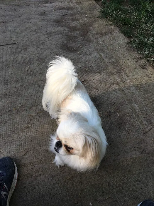 Rudolphi Veterinary Services Picture 5