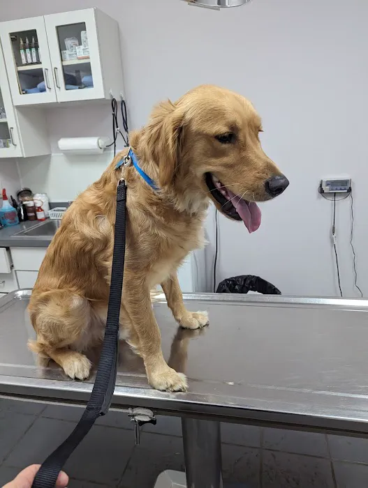 Roger Clark, DVM Picture 3