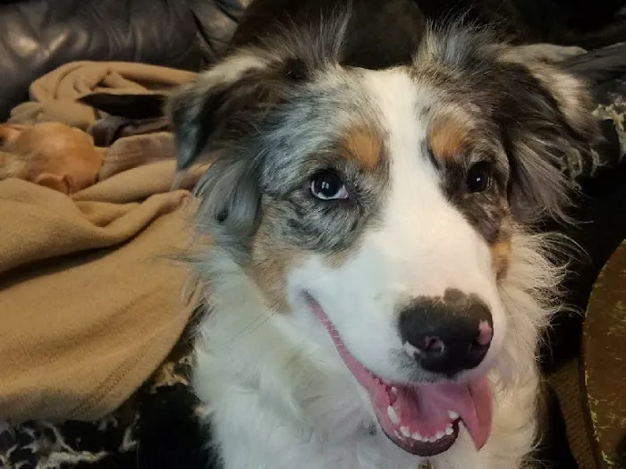 Franklin County Animal Hospital Picture 2