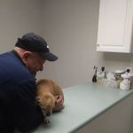 Franklin County Animal Hospital