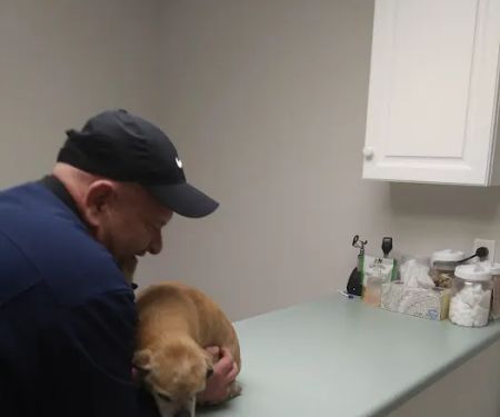 Franklin County Animal Hospital