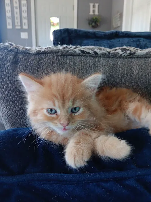 Franklin County Animal Hospital Picture 4