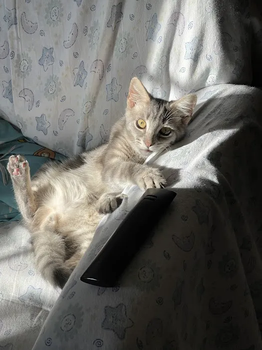 Franklin County Animal Hospital Picture 6