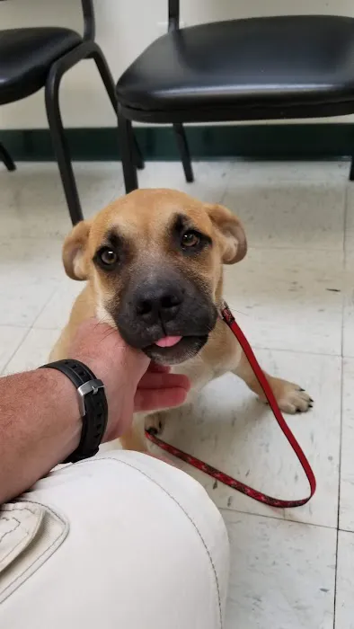 Franklin County Animal Hospital Picture 8