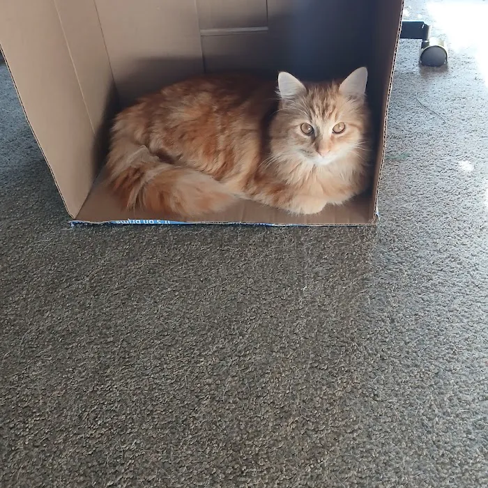 Franklin County Animal Hospital Picture 7