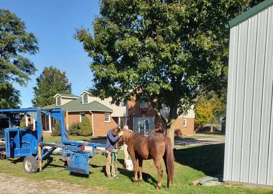 Southern Illinois Equine Clinic Picture 2