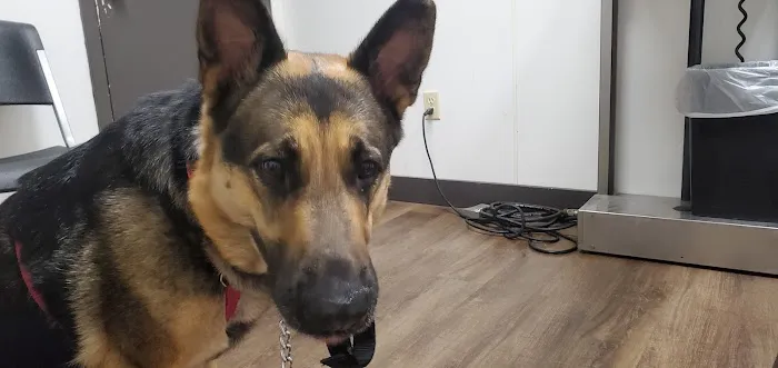 Thompsonville Veterinary Clinic Picture 5