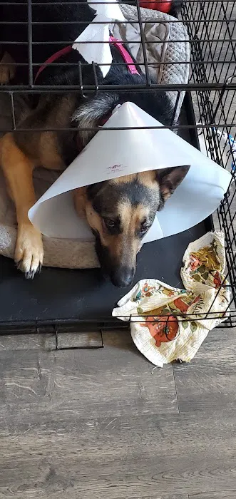 Thompsonville Veterinary Clinic Picture 4