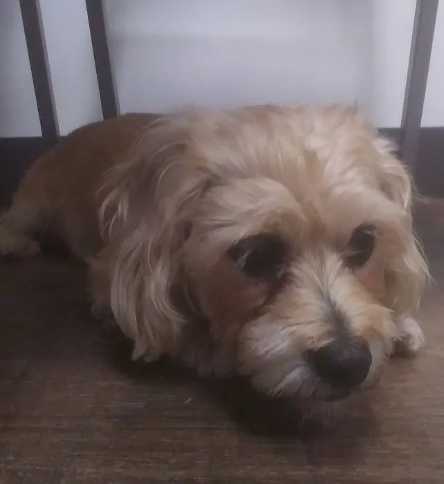 Thompsonville Veterinary Clinic Picture 6