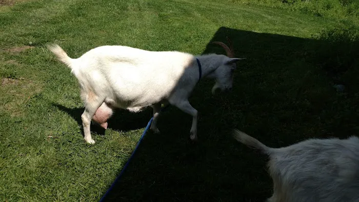 Thompsonville Veterinary Clinic Picture 7