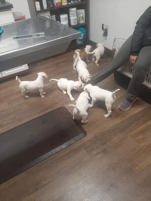 Thompsonville Veterinary Clinic Picture 8