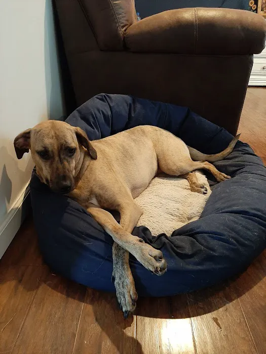 Thompsonville Veterinary Clinic Picture 9