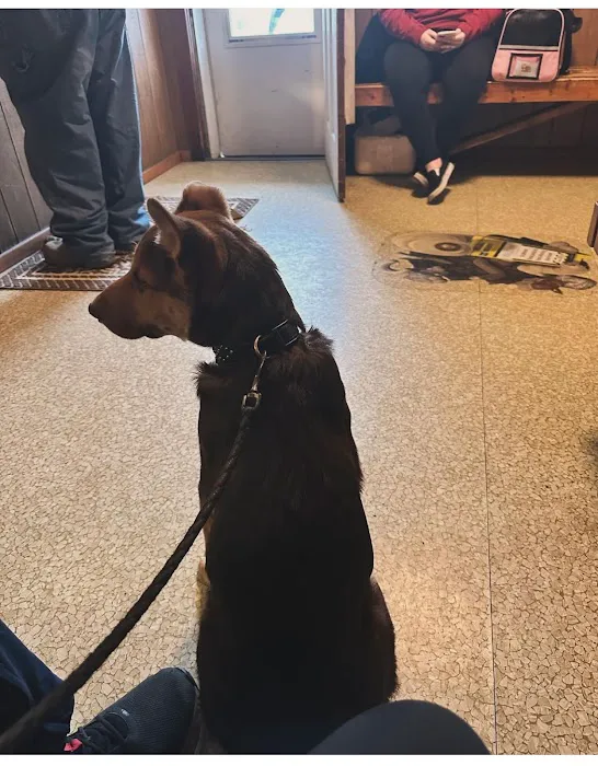 Murphysboro Veterinary Clinic Picture 1