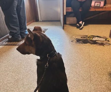 Murphysboro Veterinary Clinic