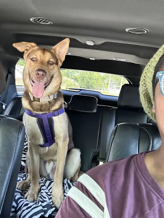 Murphysboro Veterinary Clinic Picture 2