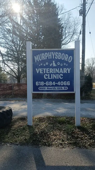 Murphysboro Veterinary Clinic Picture 3