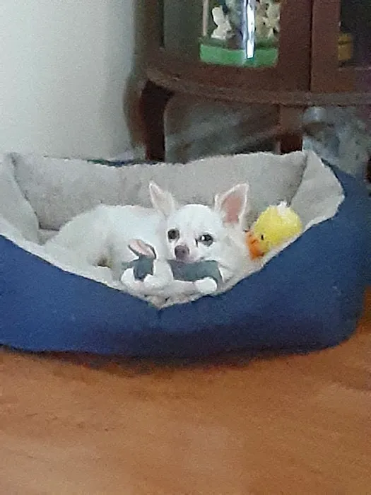 Murphysboro Veterinary Clinic Picture 8