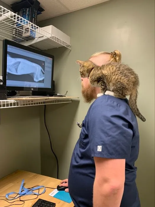 Solid Rock Veterinary Clinic Picture 2