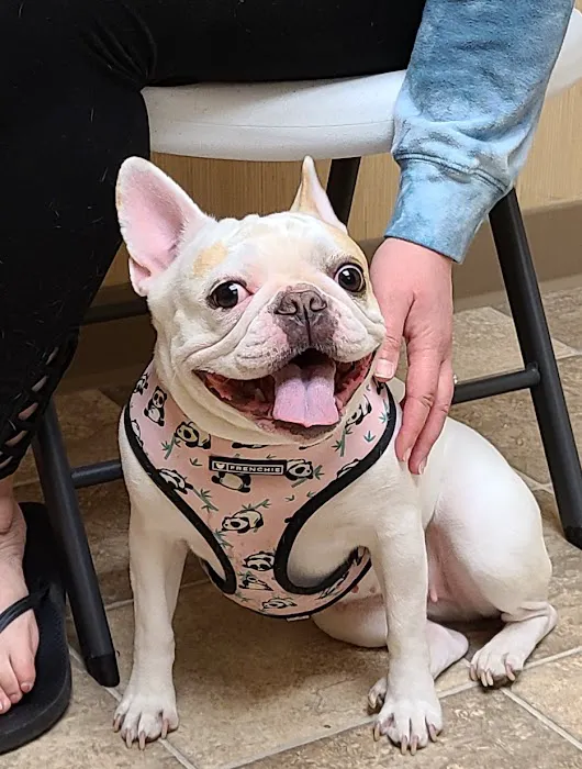 Solid Rock Veterinary Clinic Picture 1