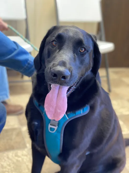 Solid Rock Veterinary Clinic Picture 3