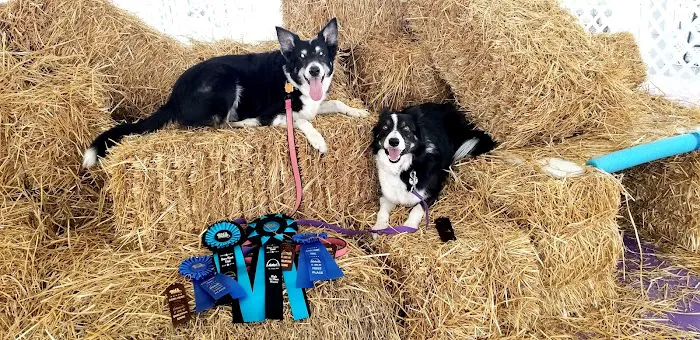 Solid Rock Veterinary Clinic Picture 5