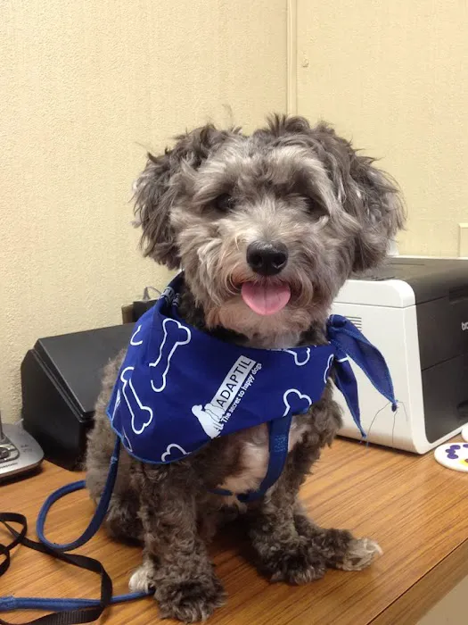 Striegel Animal Hospital Picture 4