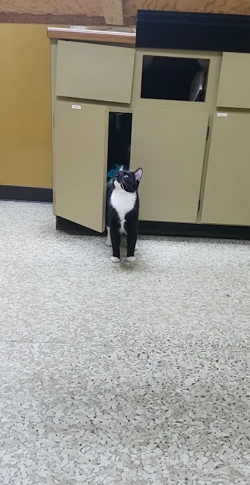 Striegel Animal Hospital Picture 1