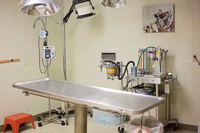 Striegel Animal Hospital Picture 3