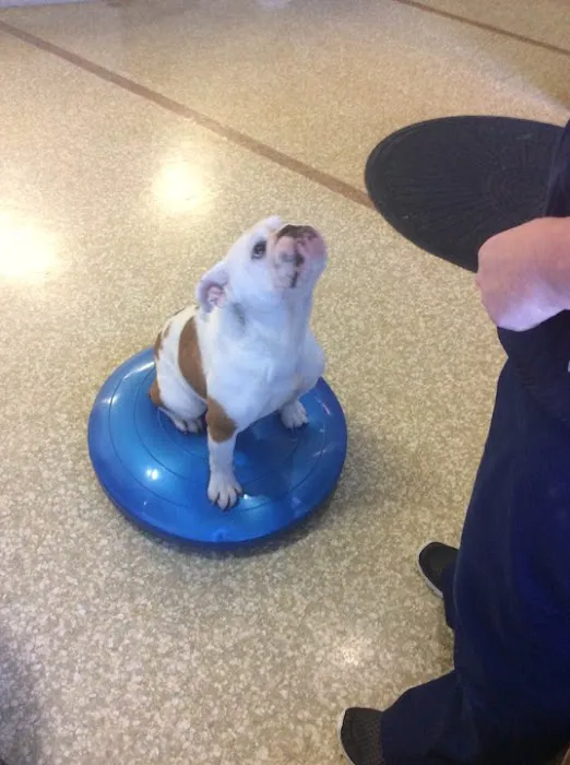 Striegel Animal Hospital Picture 7