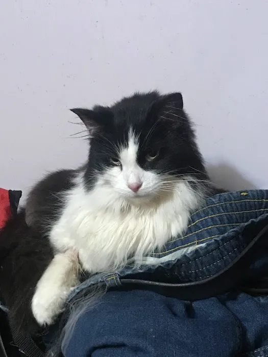 Striegel Animal Hospital Picture 10