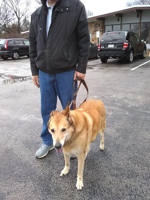 Striegel Animal Hospital Picture 8