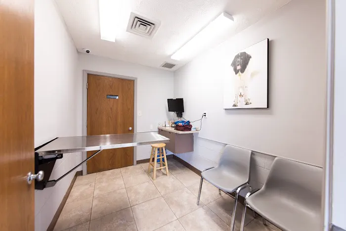 Lakeside Spears Animal Hospital Picture 5