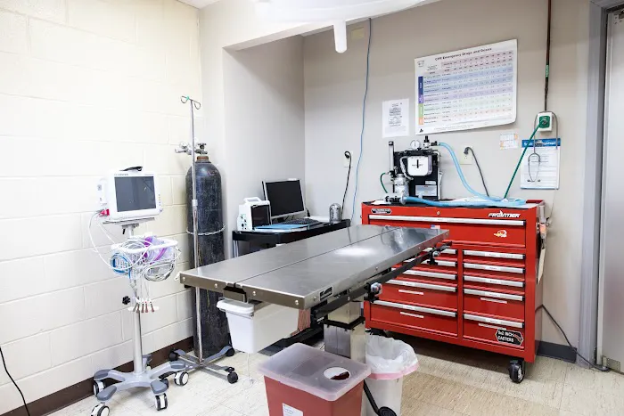 Lakeside Spears Animal Hospital Picture 7